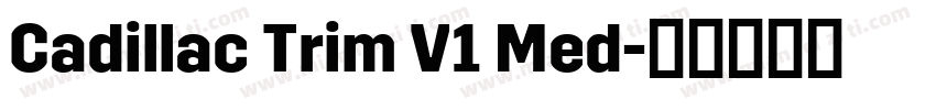 Cadillac Trim V1 Med字体转换